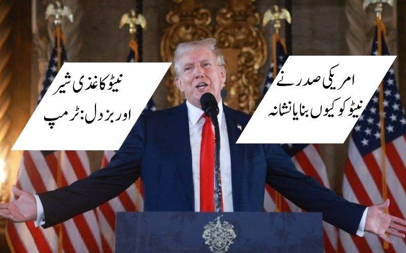 جنگ کے دوران امریکی صدر ٹرمپ نے نیٹو کو کیوں بنایا تنقید کا نشانہ 